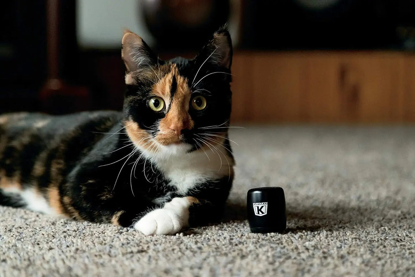 2204 Sidekix Mini Speaker: Wireless Audio Speakers with Bluetooth, Remote Shutter, Satin Black