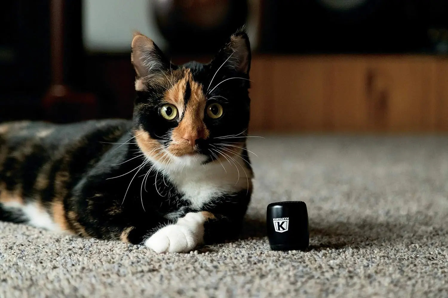 2204 Sidekix Mini Speaker: Wireless Audio Speakers with Bluetooth, Remote Shutter, Satin Black